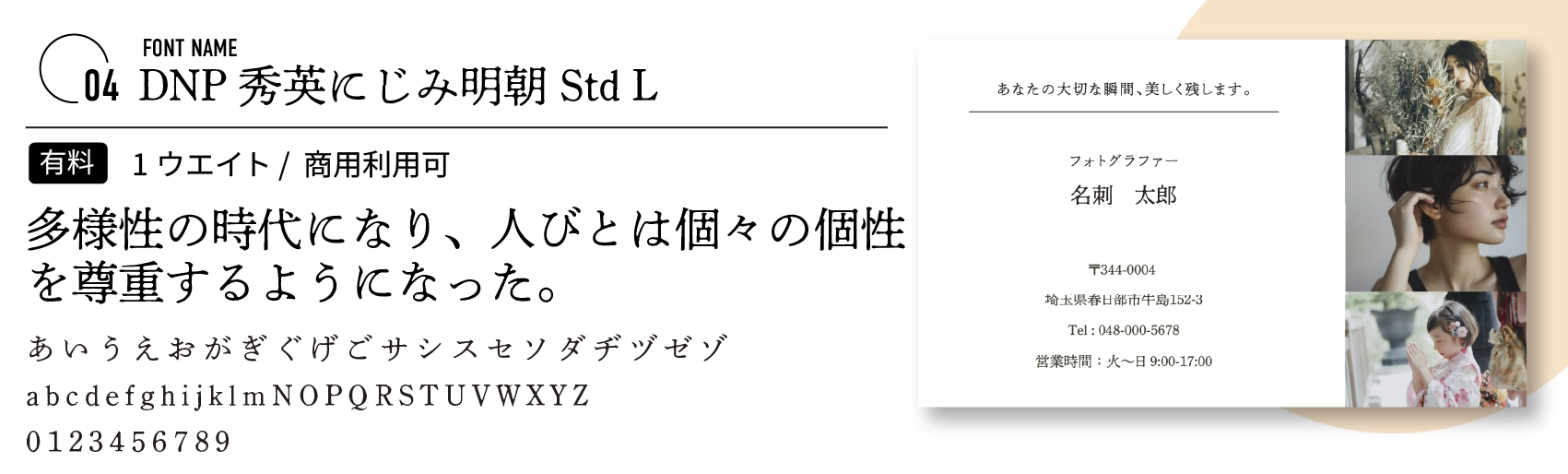 DNP秀英にじみ明朝Std L