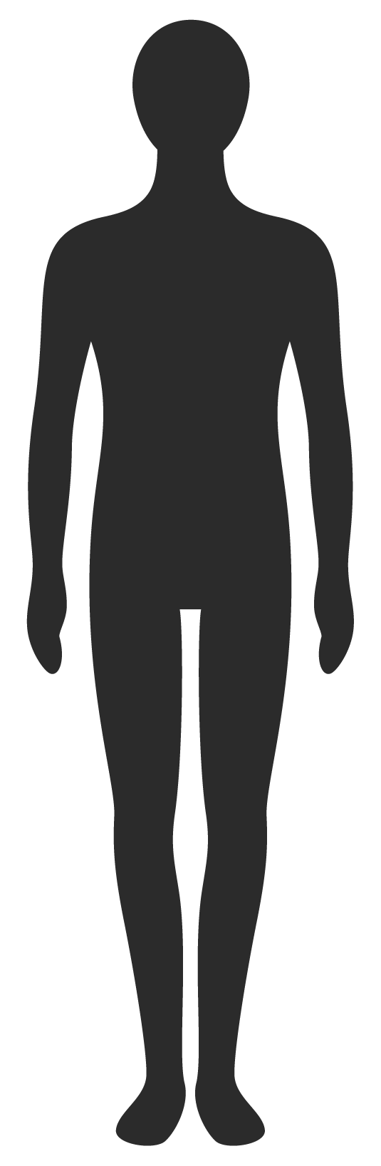身長160cmの人物との大きさ比較