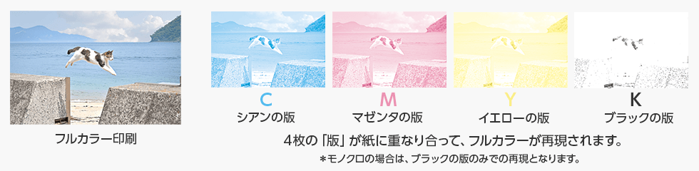 4枚の「版」が紙に重なり合って、フルカラーが再現されます。